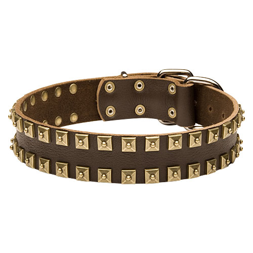 Dobermann Halsband mit Nieten aus Messing, Lederhalsband Nieten